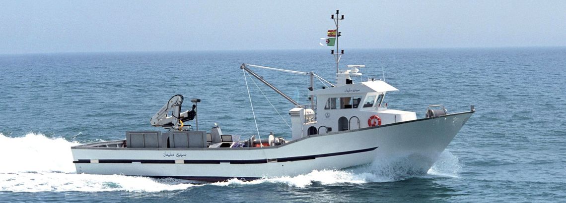 Supreme Court allows purse seine fishing twice a week outside Tamil Nadu's  territorial waters - The Hindu